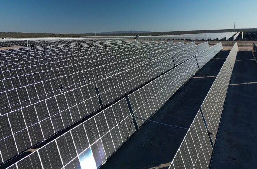 Cementos Avellaneda e Industrias Juan F. Secco inauguran un parque solar en San Luis
